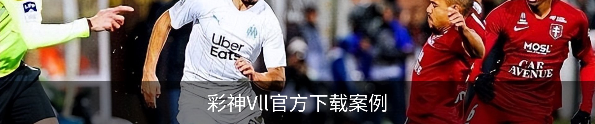 彩神Vll官方下载案例